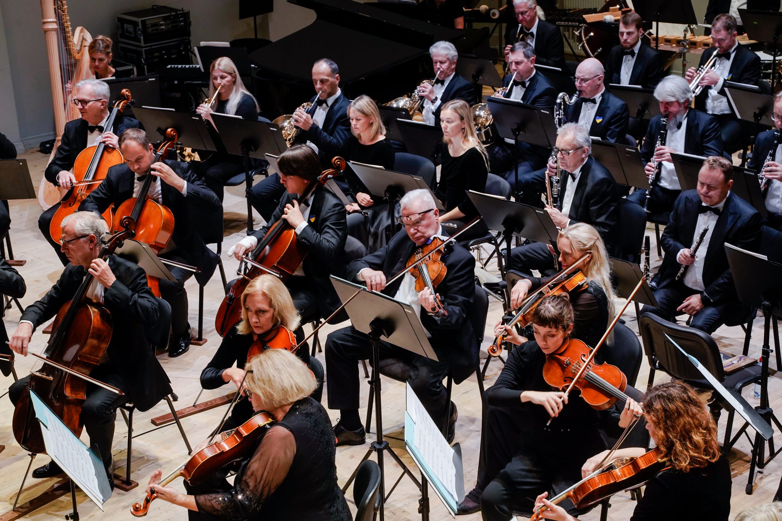 Violončelė ir britų kompozitoriai