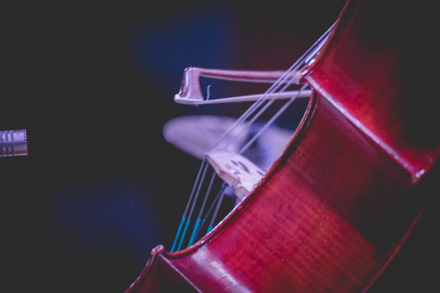 Tarptautinis Klaipėdos violončelės festivalis