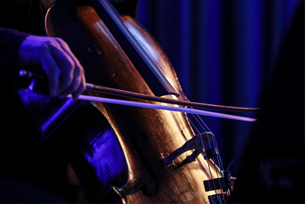 Tarptautinis Klaipėdos violončelės festivalis