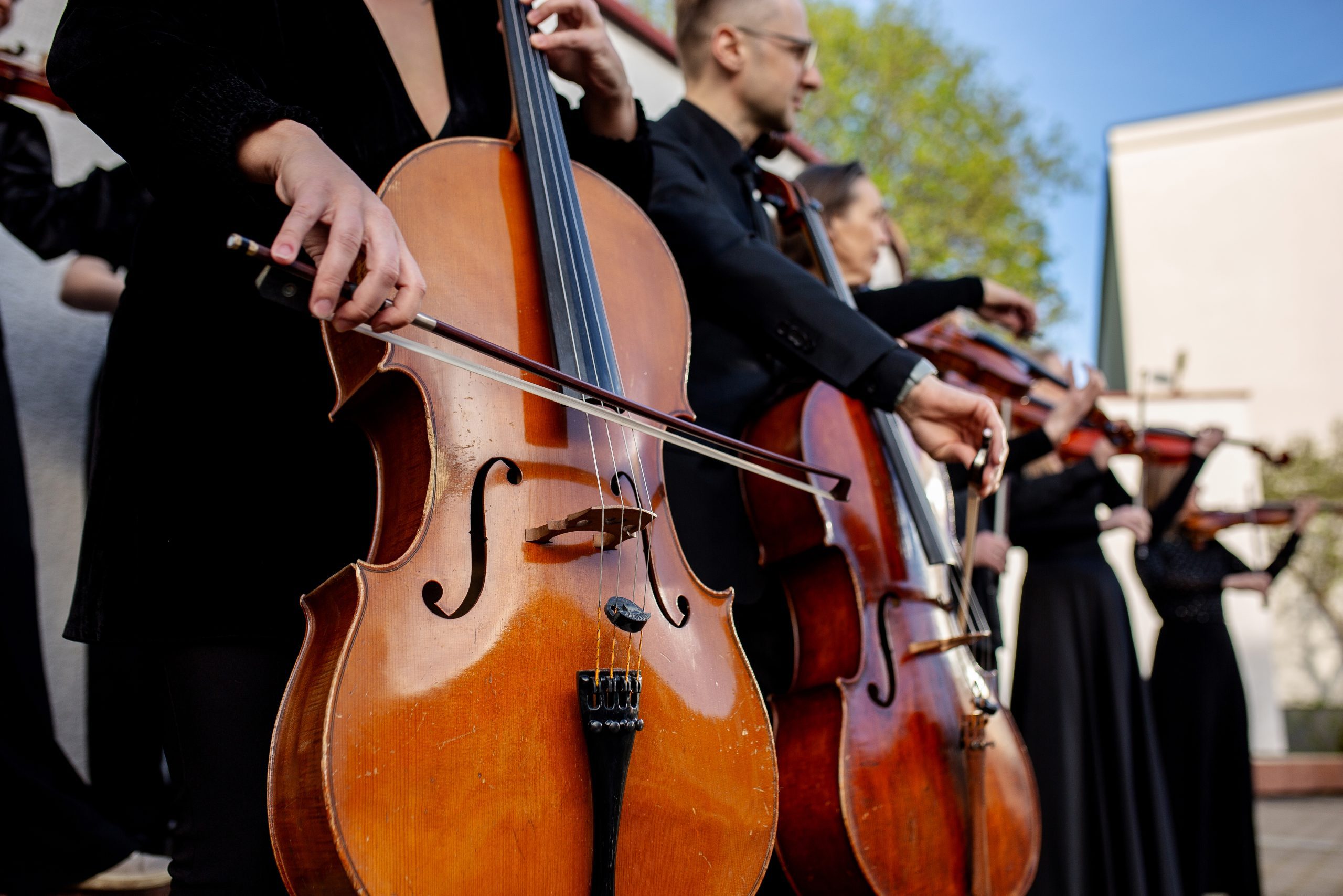 St. Christopher Chamber Orchestra & Lina Dambrauskaitė