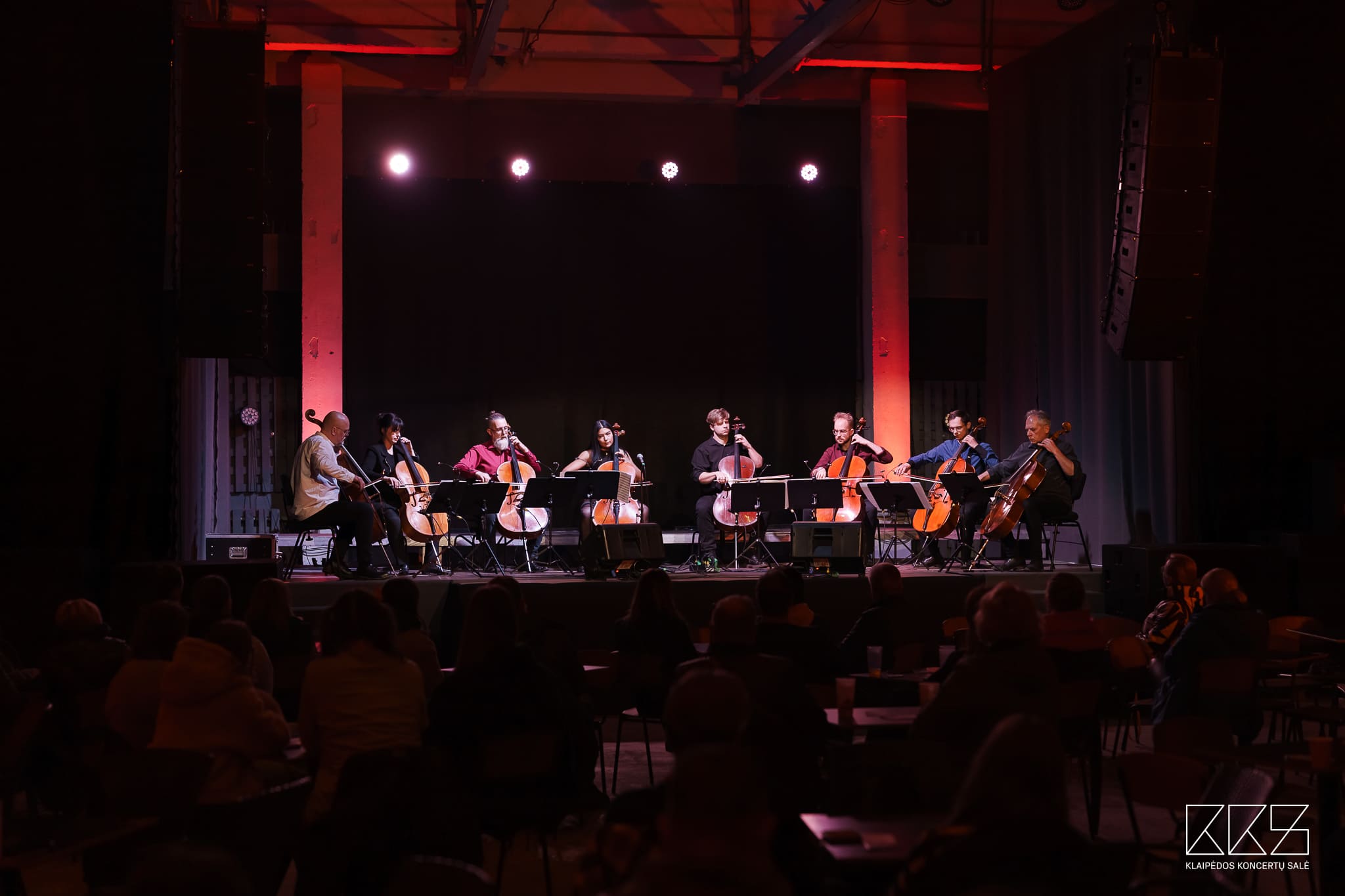 Klaipėda skambėjo violončelėmis: festivalio deimantai