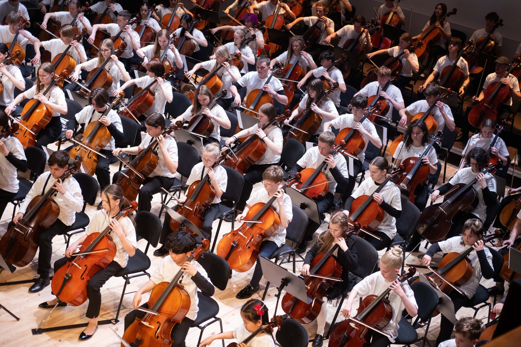 Klaipėda skambėjo violončelėmis: festivalio deimantai