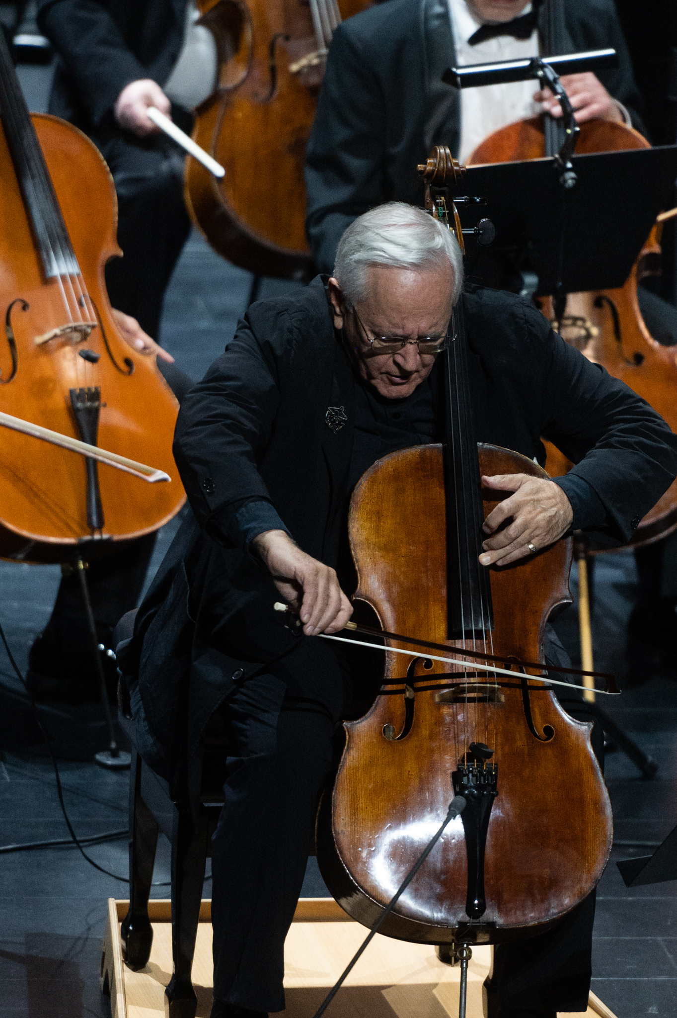 Uostamiestyje – Tarptautinis violončelės festivalis: per 50 renginių ir 400 dalyvių iš viso pasaulio